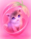 pink cat