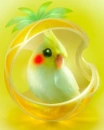 yellow bird