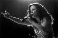bebel gilberto