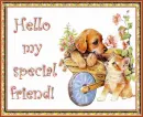 Hello My Special Friend...Puppy & Kitten