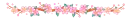 flowers divider