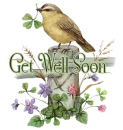 Get Well Soon