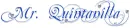 Diamond blue name - Mr.Quintanilla 