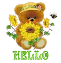 Hello...Cute Sunflower Bear