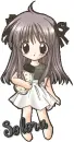Solora