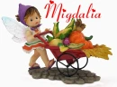 MIGDALIA