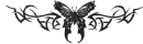 tribal Butterfly Bar