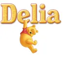 winnie pooh delia