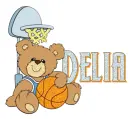 teddy bear basketball delia