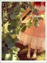 pink dress