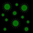 GREEN SUN BACKGROUND