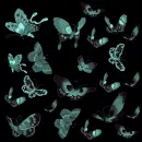 LIGHT BLUE BUTTERFLIES
