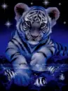 blue Tiger