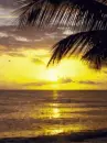 the sun