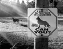 funny