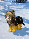 cat with cape in the snow