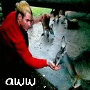 jeff