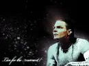 jeff hardy
