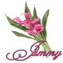 Pink Flower: Jammy