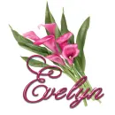 Pink Flower: Evelyn