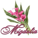 Pink Flower: Migdalia