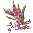 Pink Flower: A Bunch of Thanks