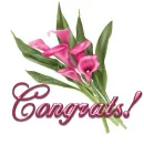Pink Flower: Congrats!