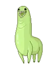 running llama