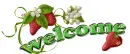 Strawberry Welcome