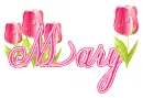 tulips mary