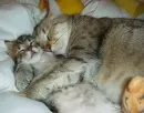 cuddling