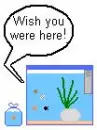 Wish You were Here!