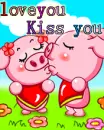 pigs in love