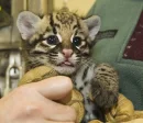 cute