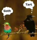 lol