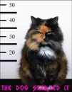 funny