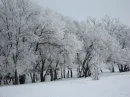 pretty