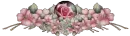 FlowerPinkRose Divider