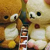 Bearz~!!!!