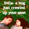 bug
