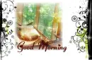 good morning