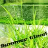 Summer time