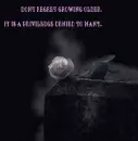 regret