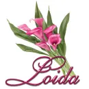 Pink Lily: Loida