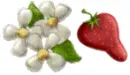 Cute Berry