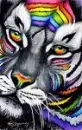 Rainbow Tiger