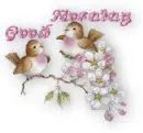 song birds