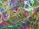 Mardi Gras Bead Strands