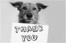 thank you sign