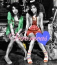 The veronicas